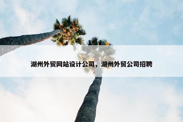 湖州外贸网站设计公司，湖州外贸公司招聘