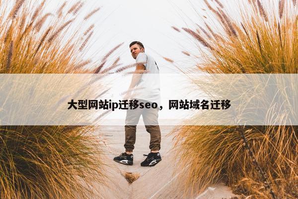 大型网站ip迁移seo，网站域名迁移