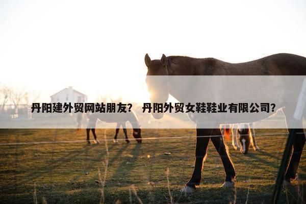丹阳建外贸网站朋友？ 丹阳外贸女鞋鞋业有限公司？
