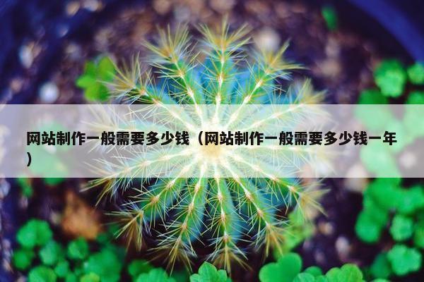 网站制作一般需要多少钱（网站制作一般需要多少钱一年）