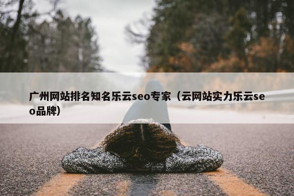 广州网站排名知名乐云seo专家（云网站实力乐云seo品牌）