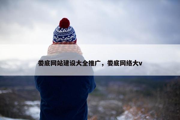 娄底网站建设大全推广，娄底网络大v