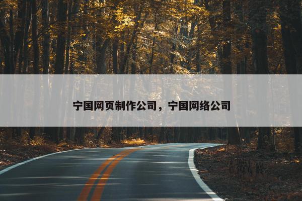 宁国网页制作公司，宁国网络公司
