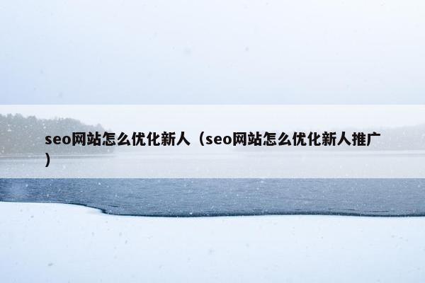seo网站怎么优化新人（seo网站怎么优化新人推广）
