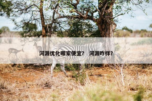 河源优化哪家便宜？ 河源咋样？