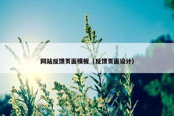 网站反馈页面模板（反馈页面设计）