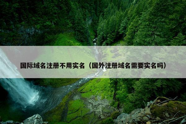 国际域名注册不用实名（国外注册域名需要实名吗）