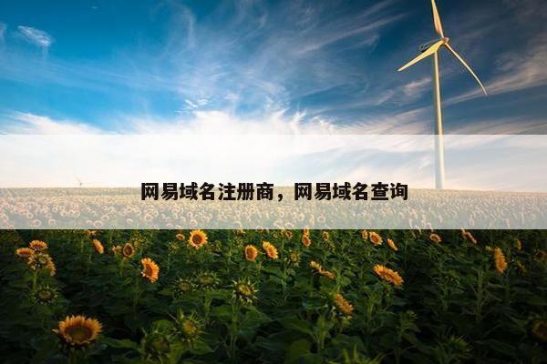 网易域名注册商，网易域名查询