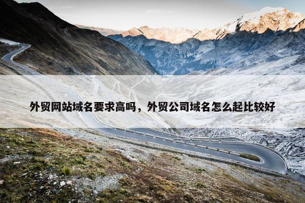 外贸网站域名要求高吗，外贸公司域名怎么起比较好