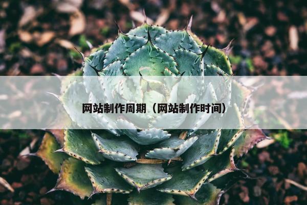 网站制作周期（网站制作时间）