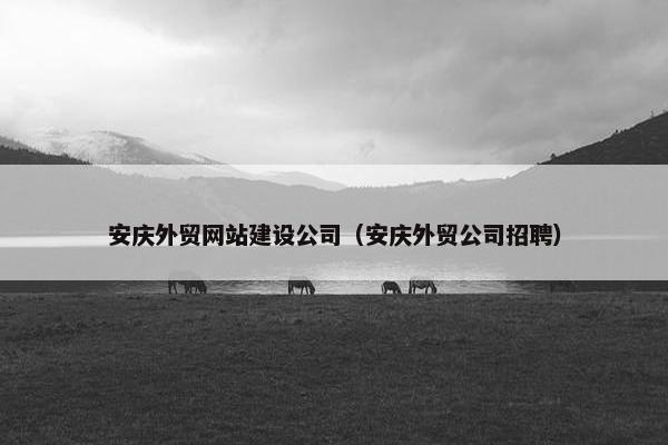 安庆外贸网站建设公司（安庆外贸公司招聘）