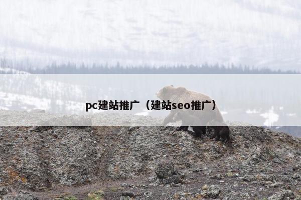 pc建站推广（建站seo推广）