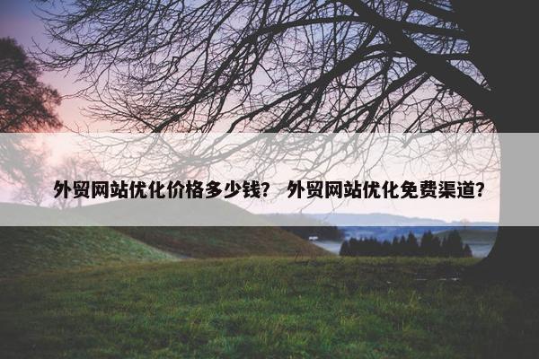 外贸网站优化价格多少钱？ 外贸网站优化免费渠道？