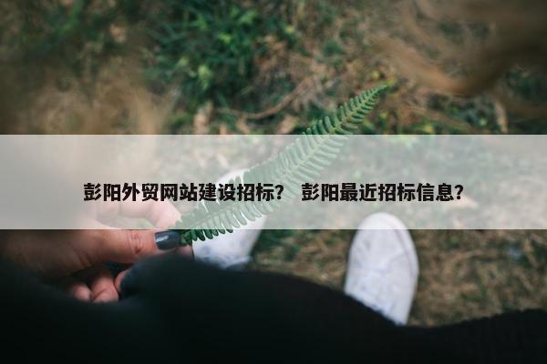 彭阳外贸网站建设招标？ 彭阳最近招标信息？
