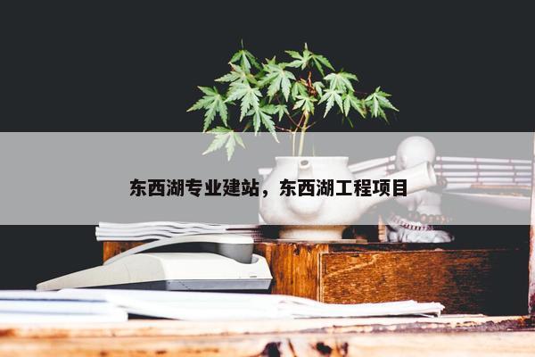 东西湖专业建站，东西湖工程项目