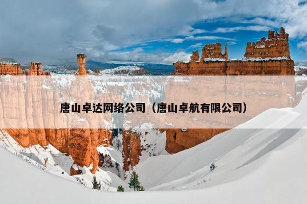 唐山卓达网络公司（唐山卓航有限公司）