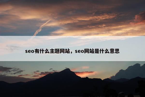 seo有什么主题网站，seo网站是什么意思