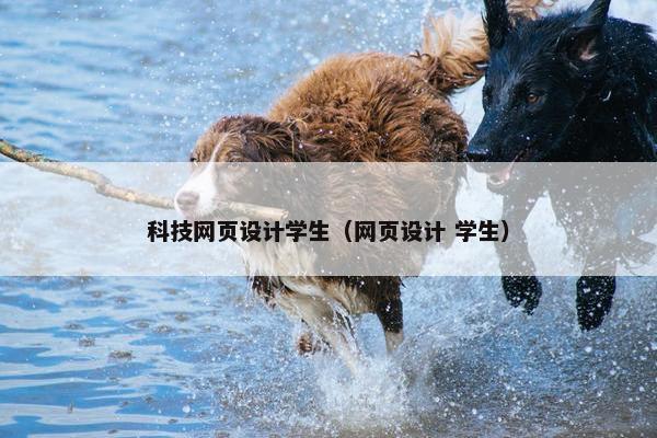 科技网页设计学生（网页设计 学生）