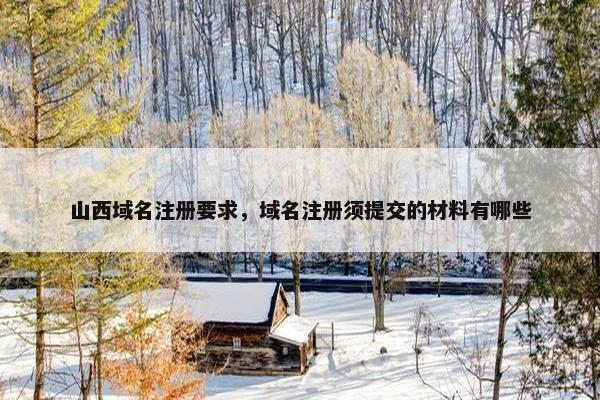 山西域名注册要求，域名注册须提交的材料有哪些