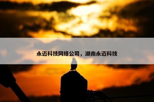永迈科技网络公司，湖南永迈科技