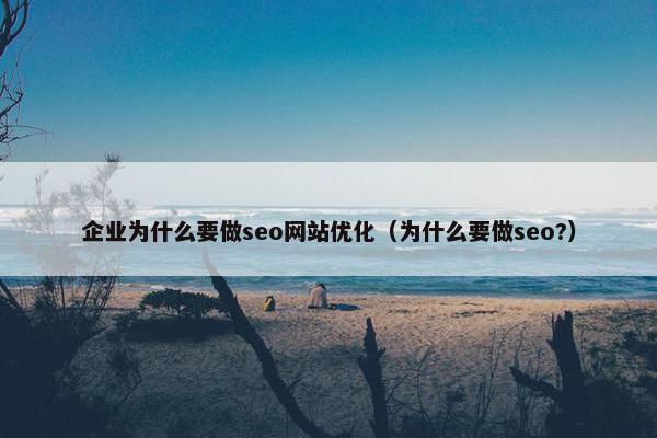 企业为什么要做seo网站优化（为什么要做seo?）