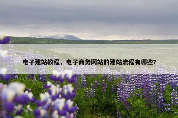 电子建站教程，电子商务网站的建站流程有哪些?