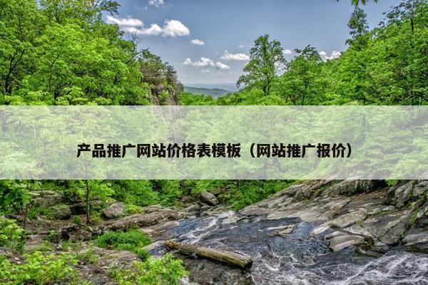 产品推广网站价格表模板（网站推广报价）