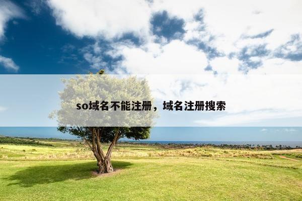 so域名不能注册，域名注册搜索