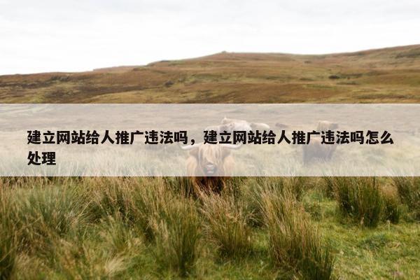 建立网站给人推广违法吗，建立网站给人推广违法吗怎么处理