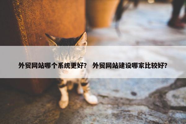 外贸网站哪个系统更好？ 外贸网站建设哪家比较好？