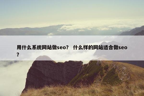 用什么系统网站做seo？ 什么样的网站适合做seo？