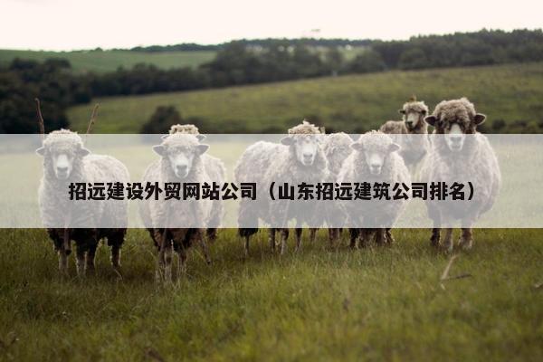 招远建设外贸网站公司（山东招远建筑公司排名）