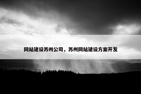 网站建设苏州公司，苏州网站建设方案开发