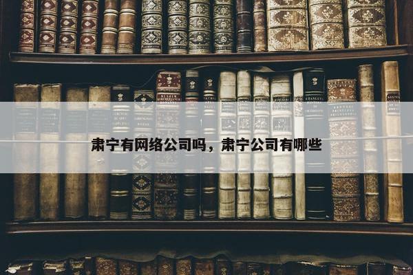 肃宁有网络公司吗，肃宁公司有哪些