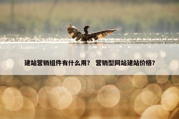 建站营销组件有什么用？ 营销型网站建站价格？