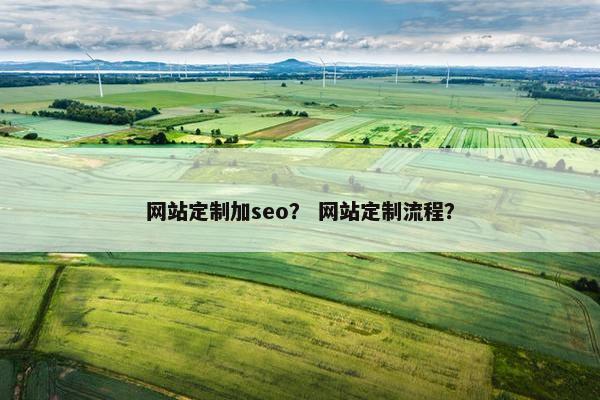网站定制加seo？ 网站定制流程？