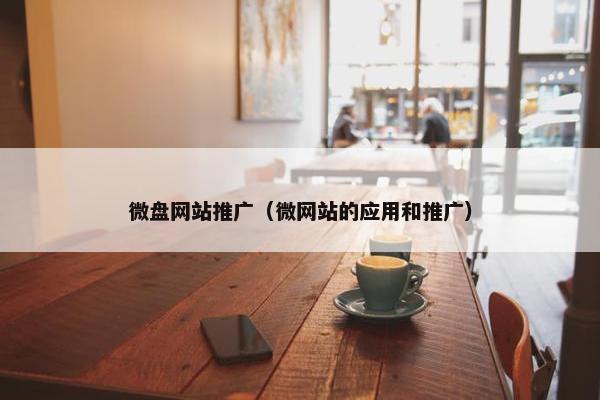 微盘网站推广（微网站的应用和推广）
