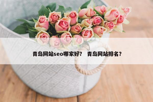 青岛网站seo哪家好？ 青岛网站排名？
