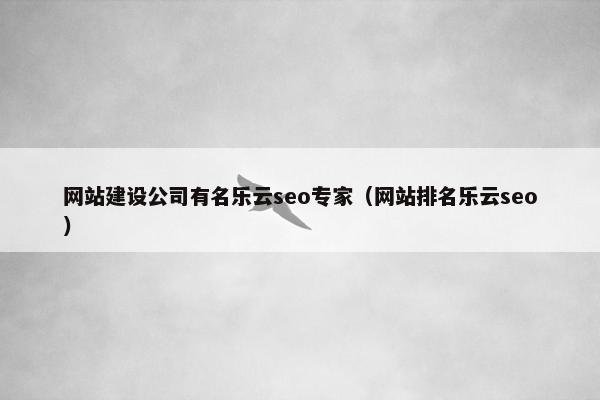 网站建设公司有名乐云seo专家（网站排名乐云seo）