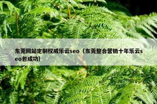 东莞网站定制权威乐云seo（东莞整合营销十年乐云seo包成功）