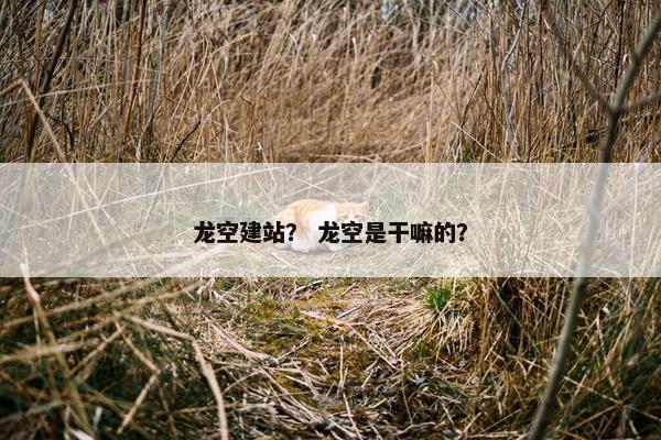 龙空建站？ 龙空是干嘛的？