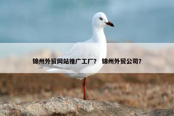 锦州外贸网站推广工厂？ 锦州外贸公司？