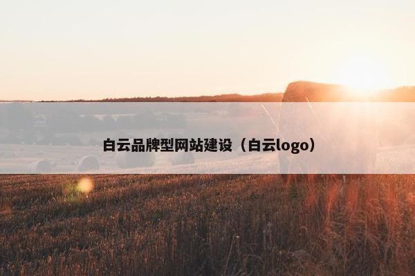 白云品牌型网站建设（白云logo）
