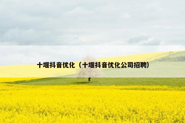 十堰抖音优化（十堰抖音优化公司招聘）