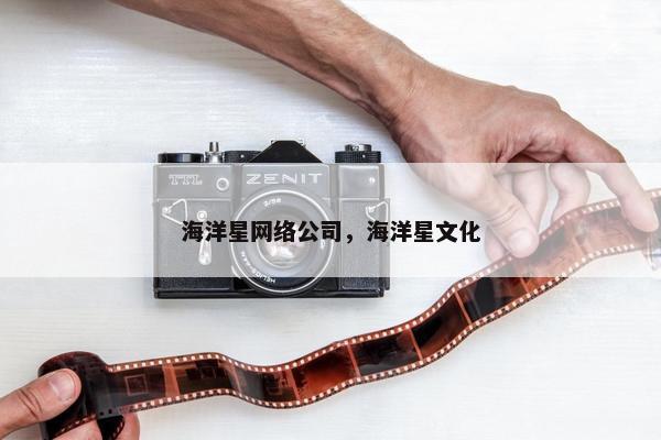 海洋星网络公司，海洋星文化