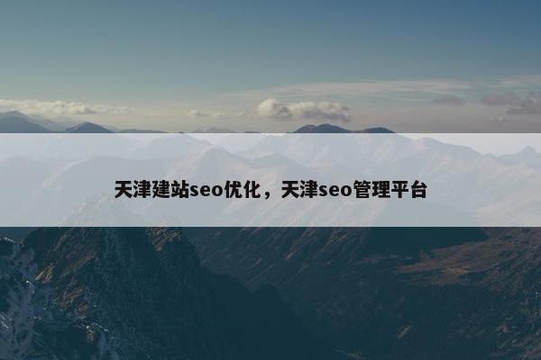 天津建站seo优化，天津seo管理平台