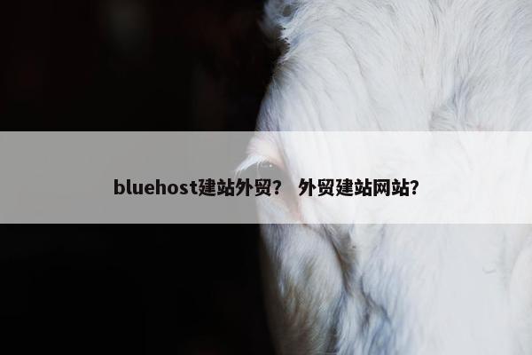bluehost建站外贸？ 外贸建站网站？