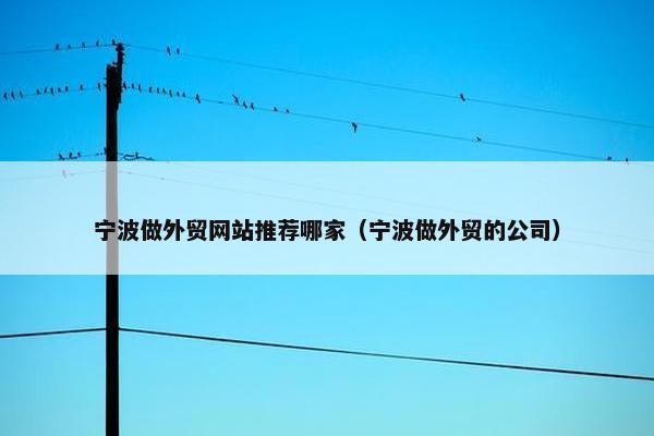 宁波做外贸网站推荐哪家（宁波做外贸的公司）
