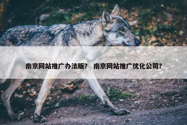 南京网站推广办法版？ 南京网站推广优化公司？