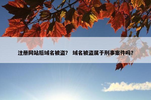 注册网站后域名被盗？ 域名被盗属于刑事案件吗？
